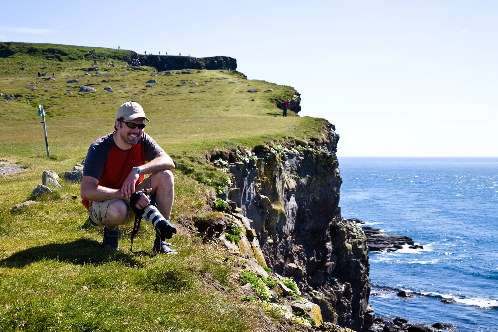 On the bird cliffs